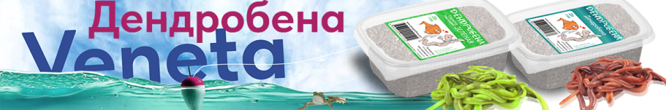 Червь Дендробена 25гр. Жесткая пластиковая банка