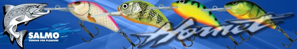 Salmo Hornet SDR 40