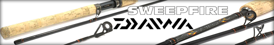 Daiwa Sweepfire SW BD