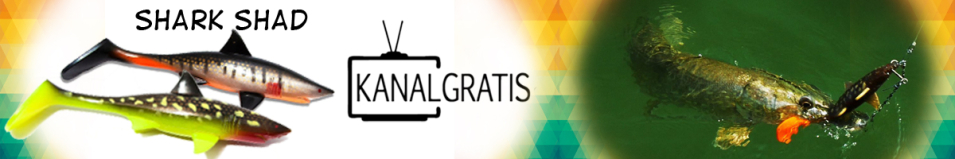 KanalGratis Shark Shad 200мм 70гр