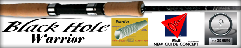 Black Hole Warrior