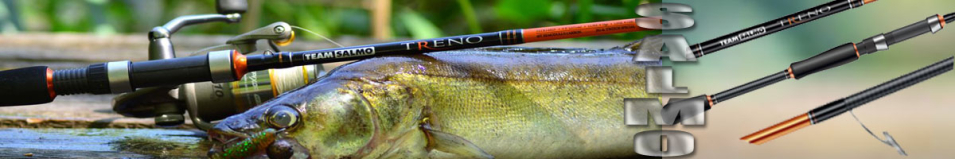 Team Salmo Treno 24