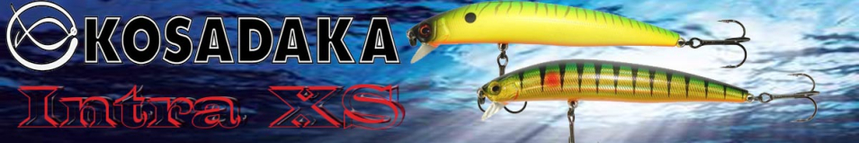 Kosadaka Intra XS 95F