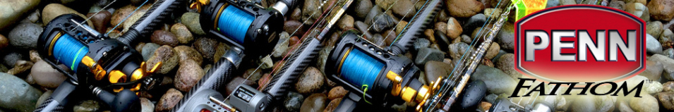 Penn Fathom 15 Star Drag