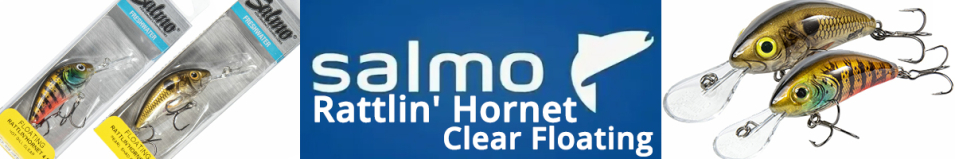 Salmo Rattlin' Hornet 6.5cm Clear Floating