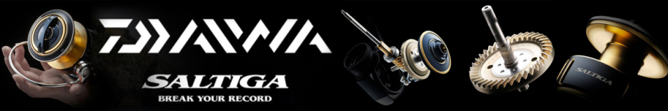 Daiwa 25 Saltiga