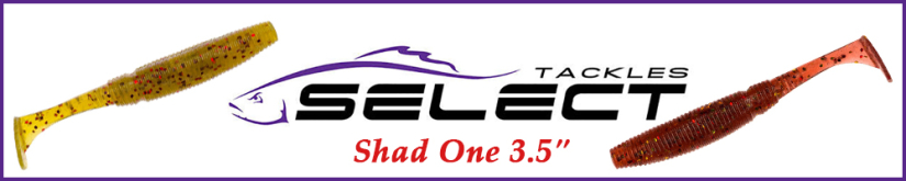 Select Shad One 3.5