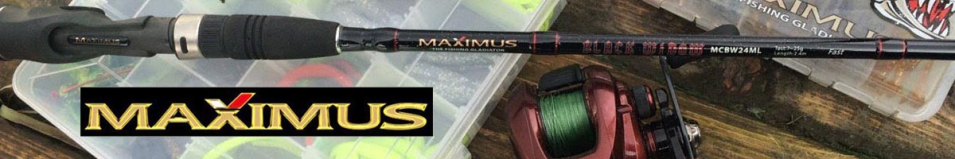 Maximus Black Widow Casting