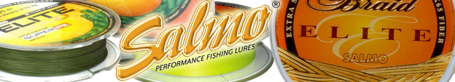 Salmo Elite Braid Green 125m