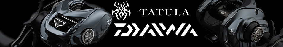 Daiwa 24 Tatula SV TW