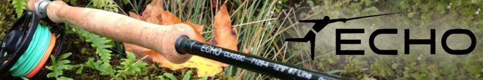 Echo Classic Switch