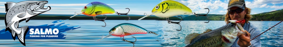 Salmo Hornet 25S