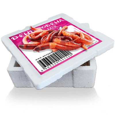 Червь Дендробена SPORT-MIX 25гр* Коробочка пенопласт