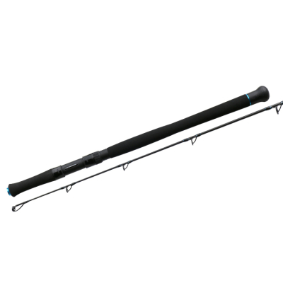 Спиннинг Flagman Tuna 2,5m casting 400g