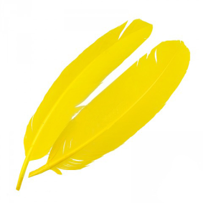 Перья индюка  маховые краш. Veniard Turkey broad Wing Quill Dyed Yellow