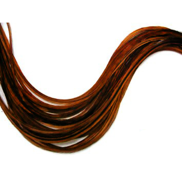 Набор перьев из седла петуха "55 мушек" (4Trouts) #12-16 Коричневый