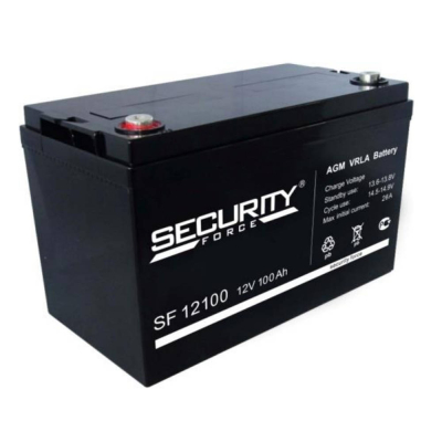 Аккумулятор Security Force SF 12100