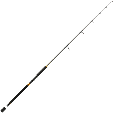 Спиннинг Penn TRQ 581 200/400 Jigging
