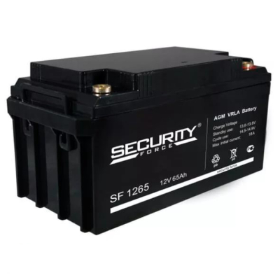 Аккумулятор Security Force SF 1265