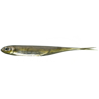 Мягкие приманки Fish Arrow Flash J Split 3" #06 (Kosan Ayu/Silver)