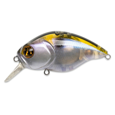 Воблер Pontoon21 TabaTao 50F-SR цв. 081