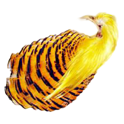 Фазана золотого перья загривок Veniard Golden Pheasant №1 complete head dyed Red