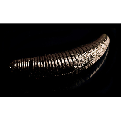 Силиконовая приманка Jara Baits Bruchi 30 (Caviar+Pheromones) Color #302