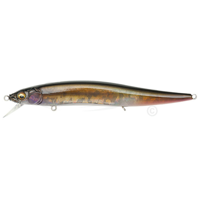 Воблер Megabass Vision OneTen Magnum 130SP цв. SF Kawamutsu