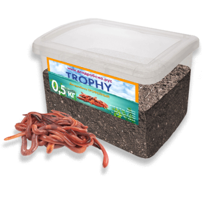 Червь Дендробена TROPHY (Трофейный) 500гр* Пластиковая банка