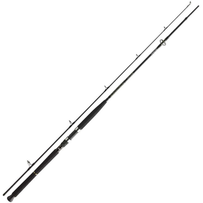 Спиннинг Daiwa BG Boat 2.40m 150-400g