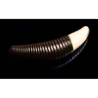 Силиконовая приманка Jara Baits Bruchi 40 (Сыр) Color #205