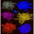 Светлячок индикатора поклевки Gardner Nano Bug Betalights YELLOW *TRITIUM-MAX* BLNBUGY