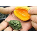 Форма для прикормки Guru X-Press Method Mould Small GMMS