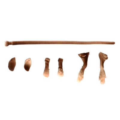 Набор Savage Gear LB 3D Rad Maintenance 30 01-Brown 55185