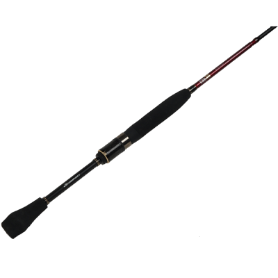 Спиннинг JSCompany Can 30 Eging Lucky S842XH 30-80 г 2,55 м Jig