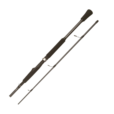 Спиннинг BFT Raptor G2 Pike Spin 8' -100g, 2,44м, 2-частник