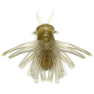 Силиконовая приманка Bait Breath BJ Bug цв. #602