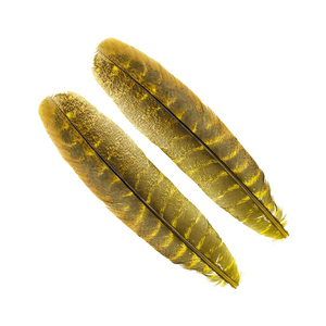 Metz Ozark Turkey Hopper Yellow (pair)