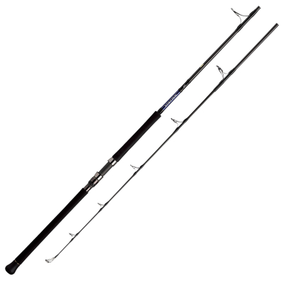 Спиннинг Daiwa Saltiga AP J56S-6