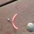 Силиконовые приманки Trout Zone Blood Worm Мотыль