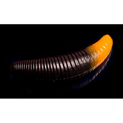 Силиконовая приманка Jara Baits Bruchi 30 (Банан) Color #222