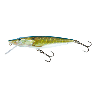 Воблер Salmo Pike PE16SR-RPE