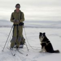 Брюки Sitka Timberline Pant цв. Moss р. 44X32
