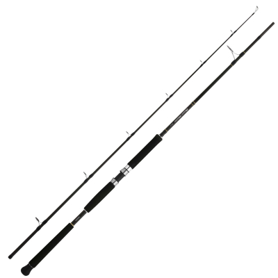Удилище Shimano Beastmaster Pilk 240 (BMPILK240100200)