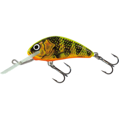 Воблер Salmo Hornet Rattlin 45F цв. GFP