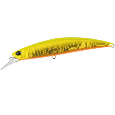 Воблер DUO Spearhead Ryuki 110S #APA4020