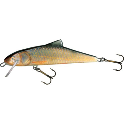 Воблер Salmo Skinner 120F цв. RR