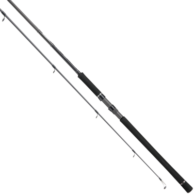 Спиннинг Tailwalk Saltyshape Dash Shore Jig 96H