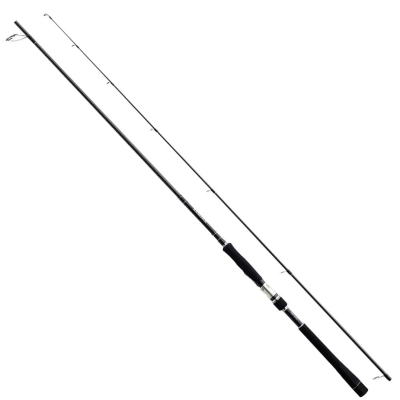 Спиннинг Shimano Exsence S902ML ARC