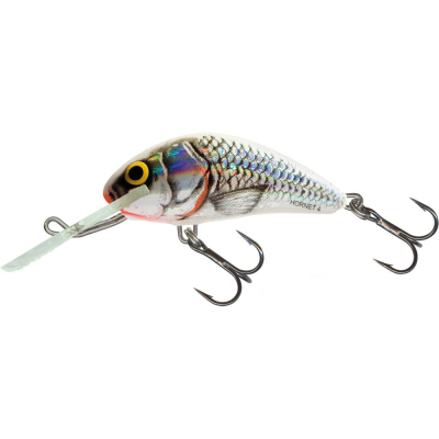 Воблер Salmo Hornet 35F цв. SWS